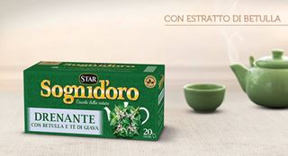 Immagine di SOGNIDORO TISANA DRENANTE x 20