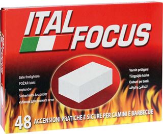 Immagine di ACCENDIFUOCO ITALFOCUS 48 cubi