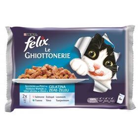 Immagine di FELIX 4 BUSTE gr.100 SALMONE