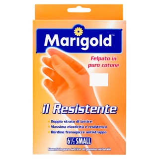 Immagine di MARIGOLD G.S/RESISTENTE 6.5/7