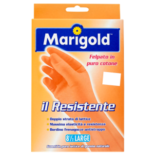 Immagine di MARIGOLD G.S/RESISTENTE 8.5/9