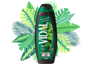 Immagine di VIDAL DC-SH GINKO&MENTA 250 ML