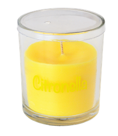 Immagine di CITRONELLA VETRO D74XH83