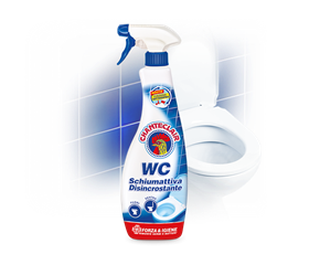 Immagine di CHANTECLAIR WC DISINCR.SPRAY 625 ML