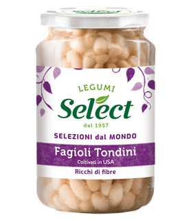 Immagine di SELECT VETRO GR.360 TONDINI