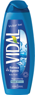Immagine di VIDAL B/SCHIUMA POLAR I.500 ml
