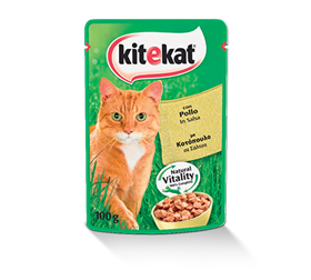 Immagine di KITEKAT 85gr.BUSTA POLLO