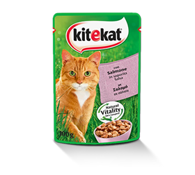 Immagine di KITEKAT 85gr.BUSTA SALMONE
